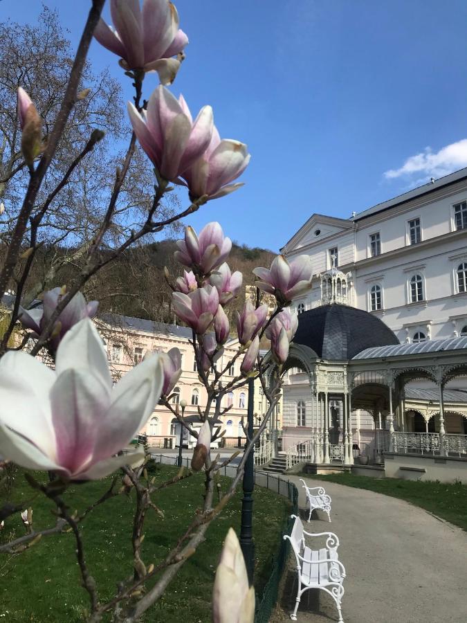 Apartment Sadova Карлови Вари Екстериор снимка